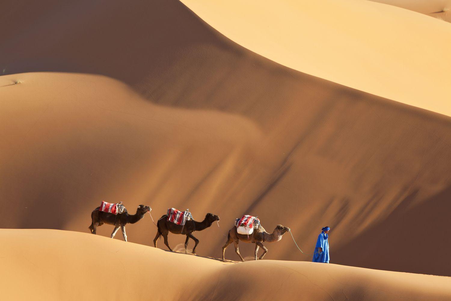 Merzouga Luxury Traditional Camp Exterior photo